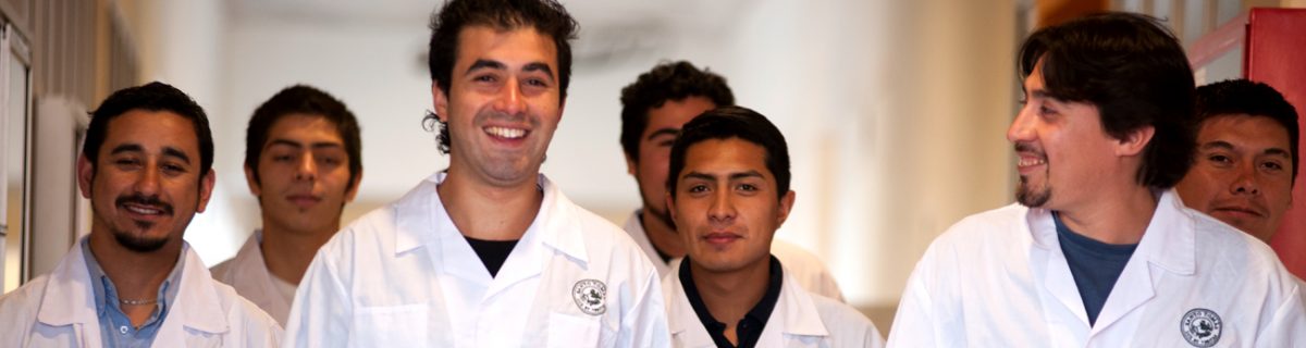 Instituto profesional y CFT