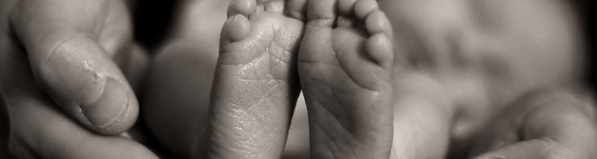 valor a la vida humana